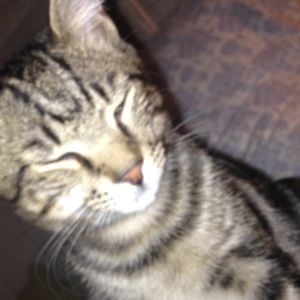 Meet your Posher, Emma